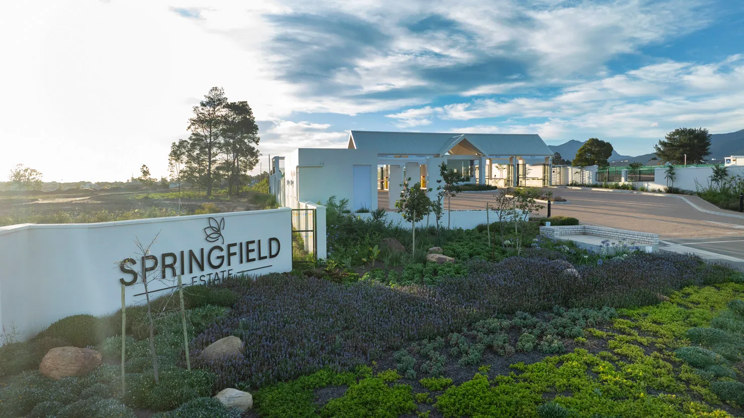 Springfield Estate — George