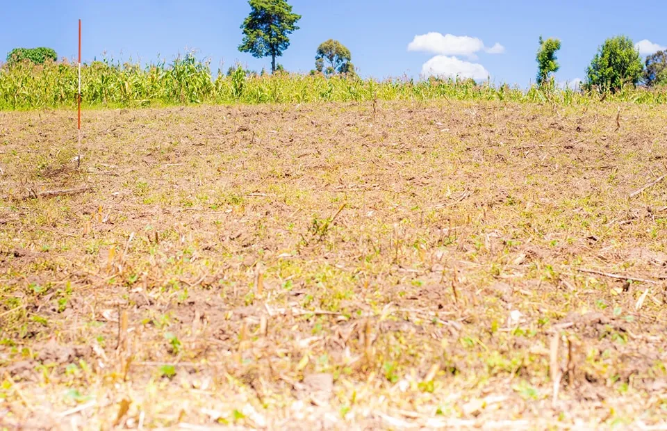 Njoro Stoo Mbili – Phase 18 plots — Nakuru