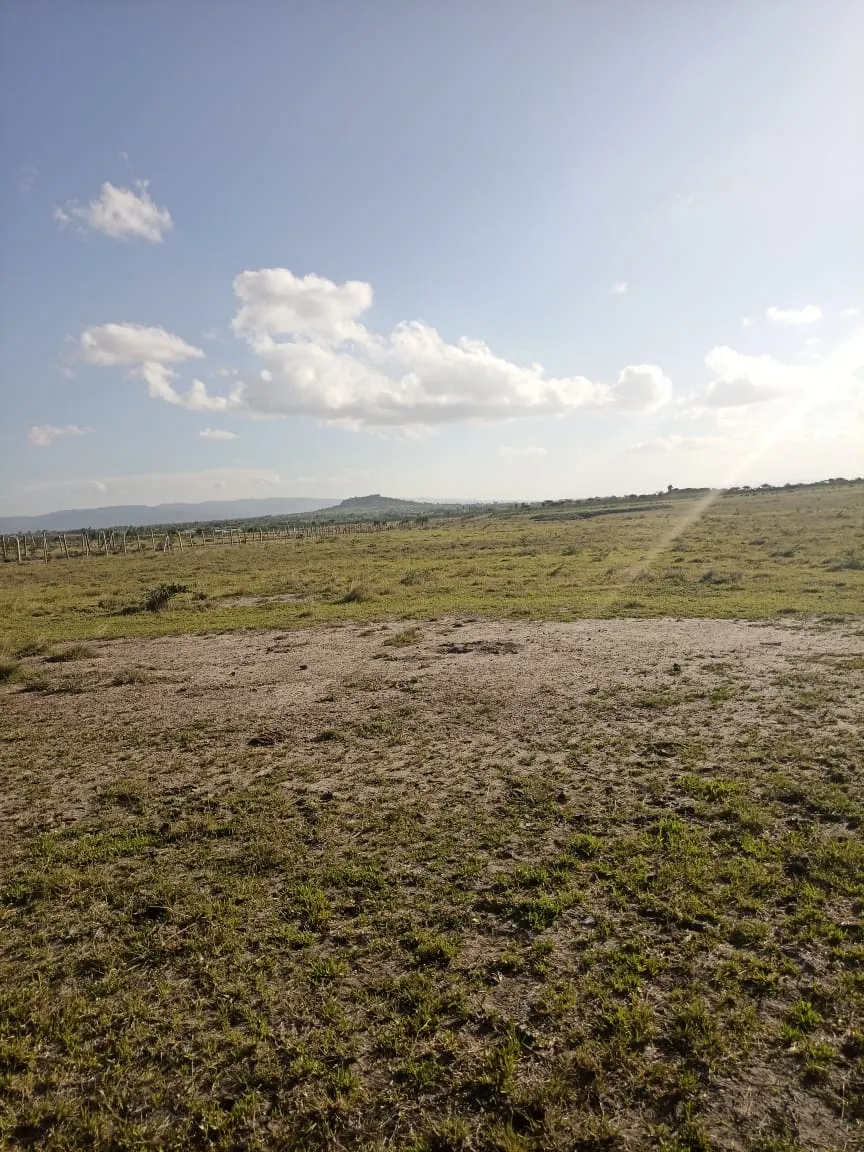 Tamu Plateau Estate — Nairobi