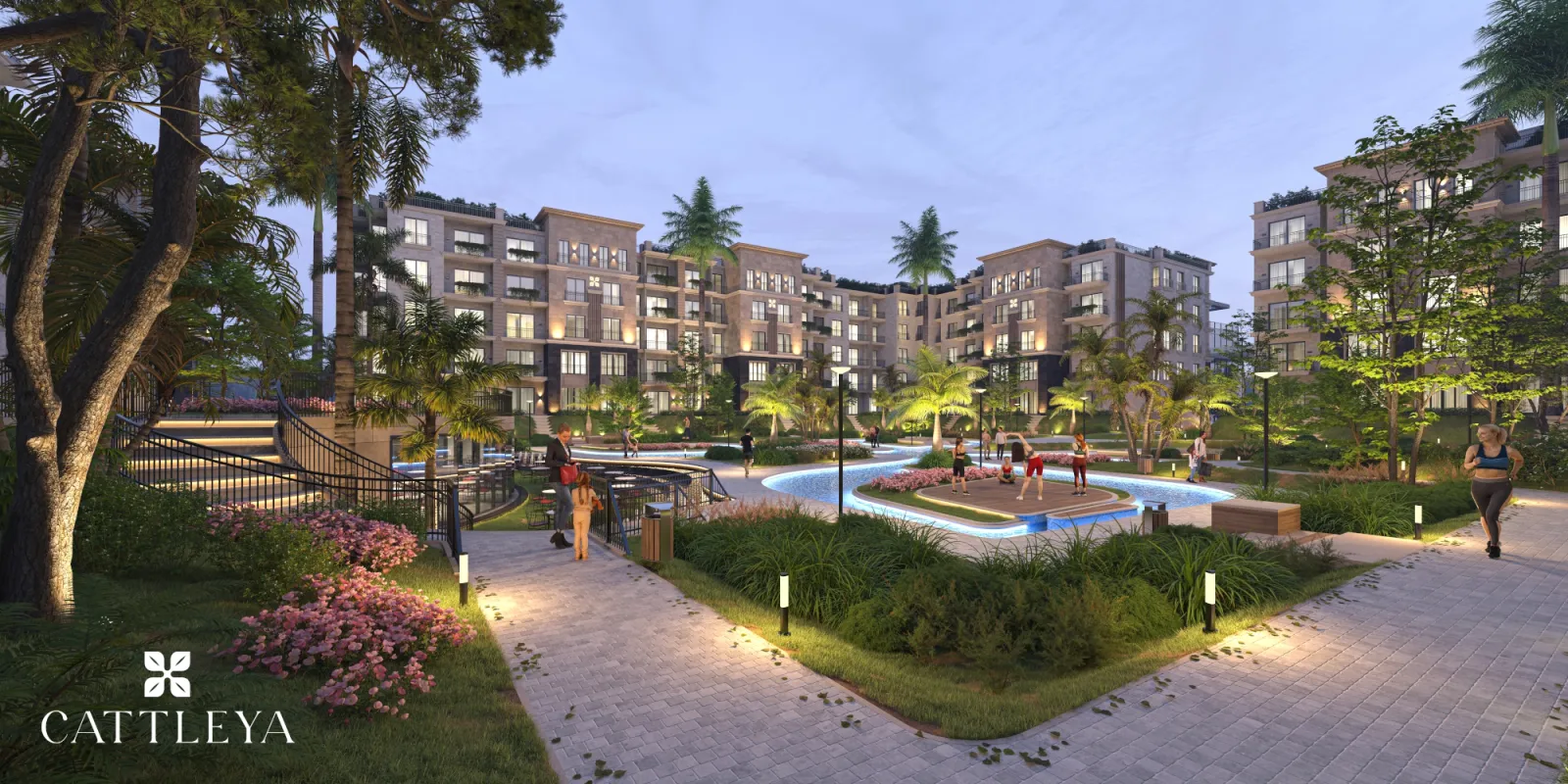 Cattleya — Cairo