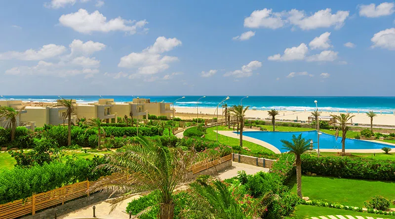 Sedra — Alexandria