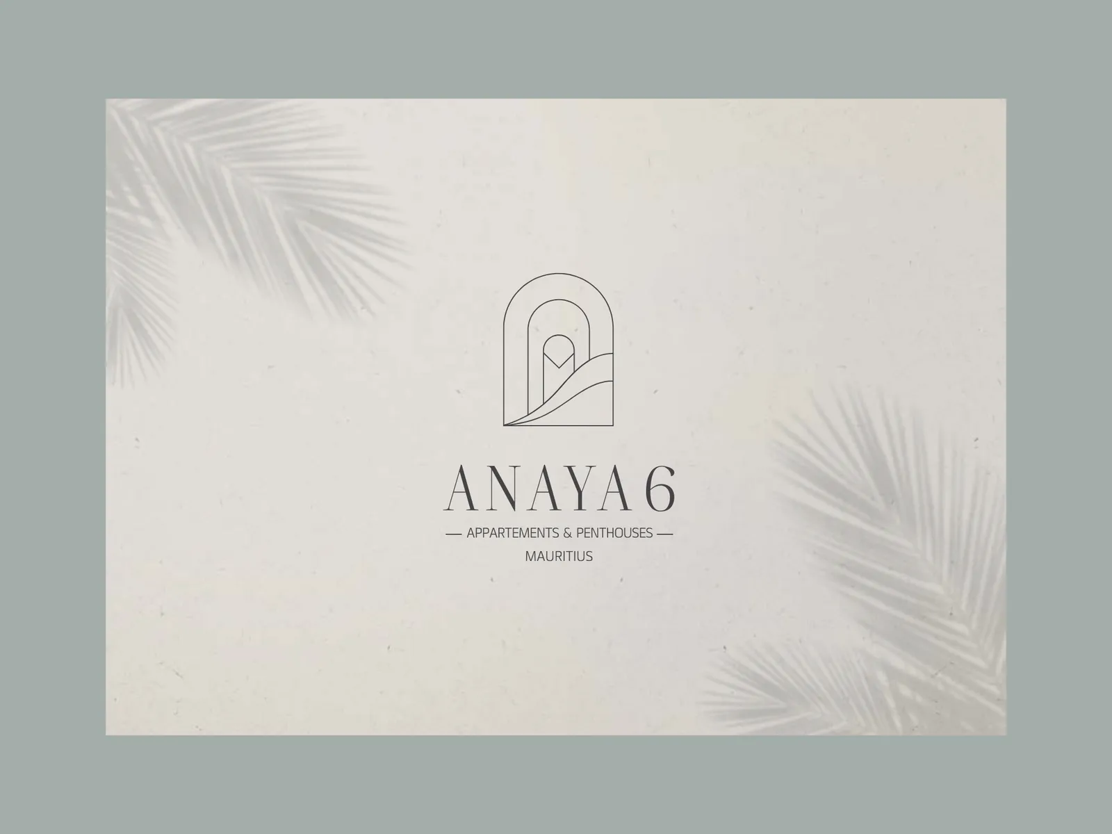 Anaya 6 — Tamarin