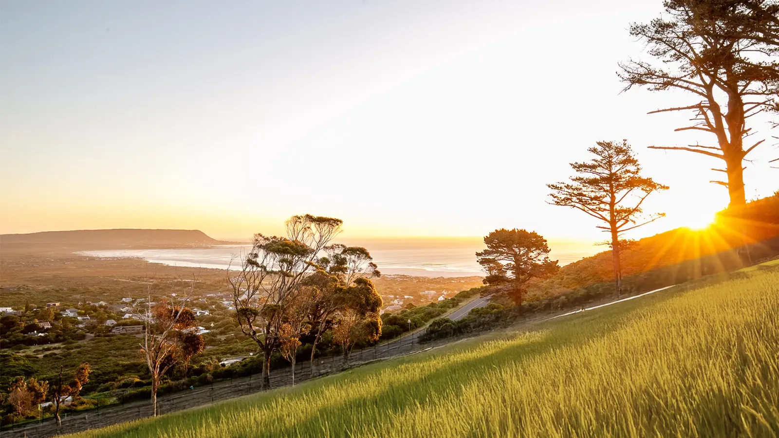 Chapman's Peak Estate — Cape Town