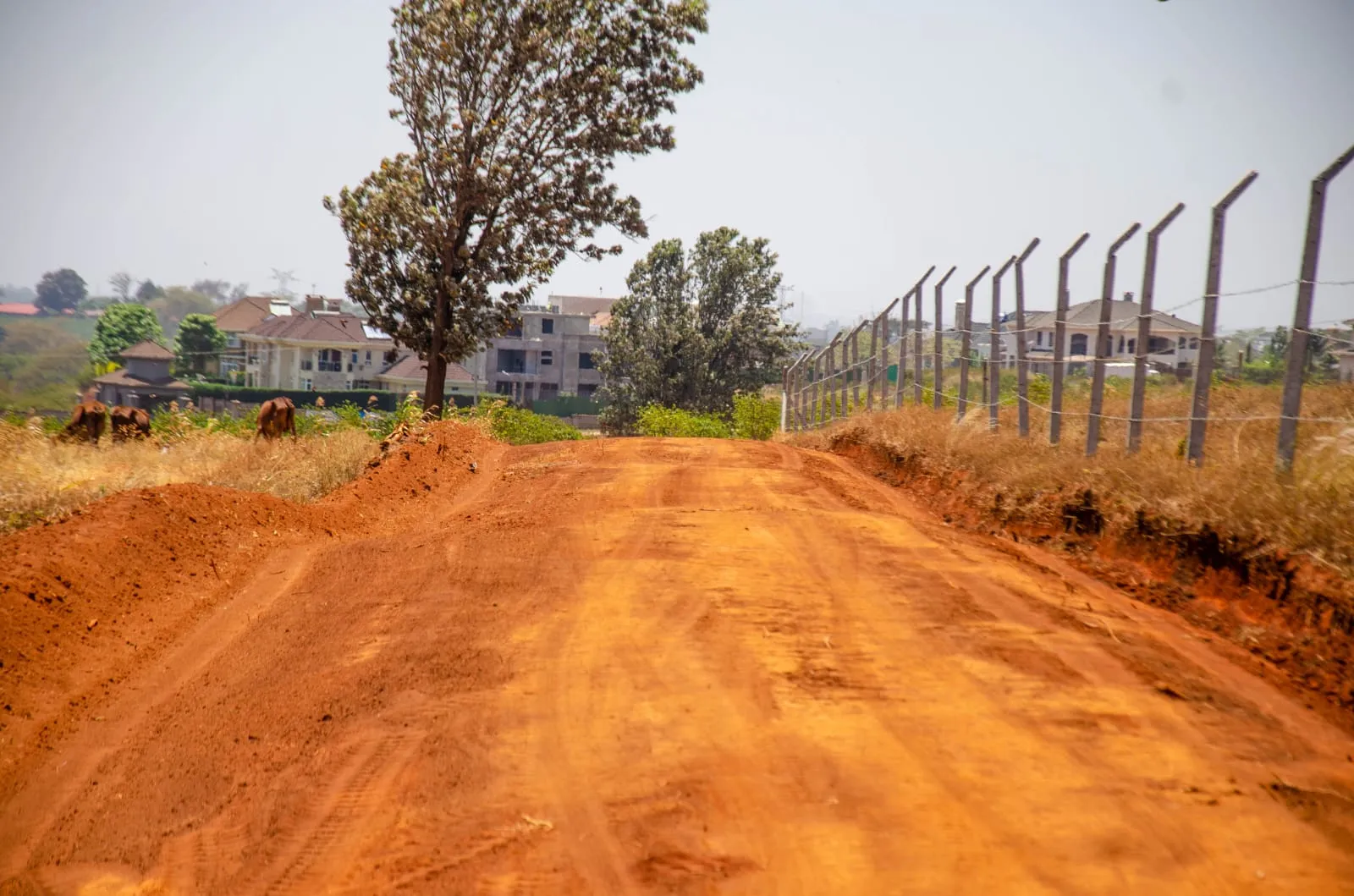 Real estate-plots for sale=carol njama