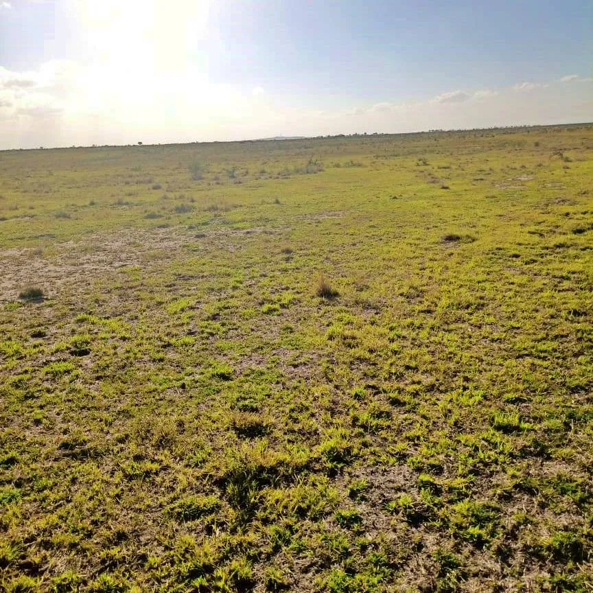 Tamu Plateau Estate — Nairobi