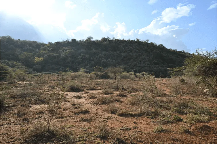 Mwanzo Gardens — Ngong