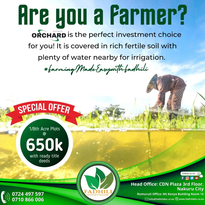 Orchard Estate – Prime Residential Plots — Rumuruti