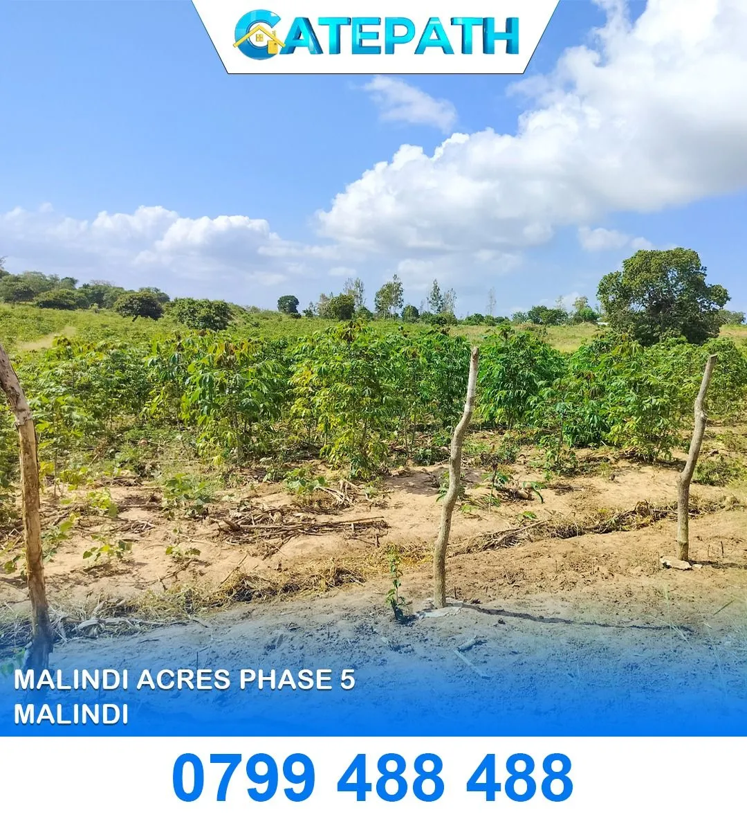 Malindi Acres Phase 5 view 4