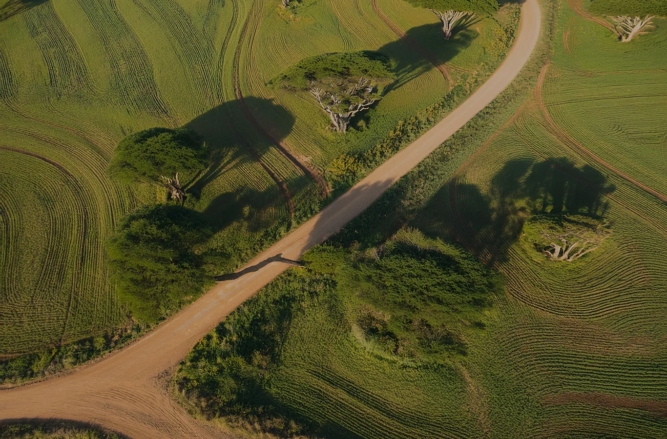 Kudu Village