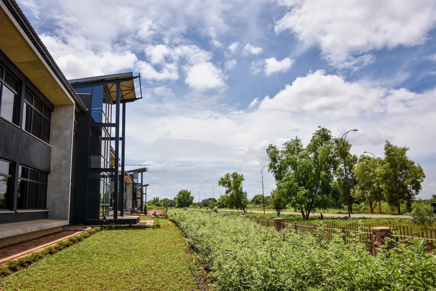Luano City Offices 01.jpg