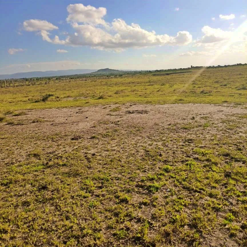 Tamu Plateau Estate