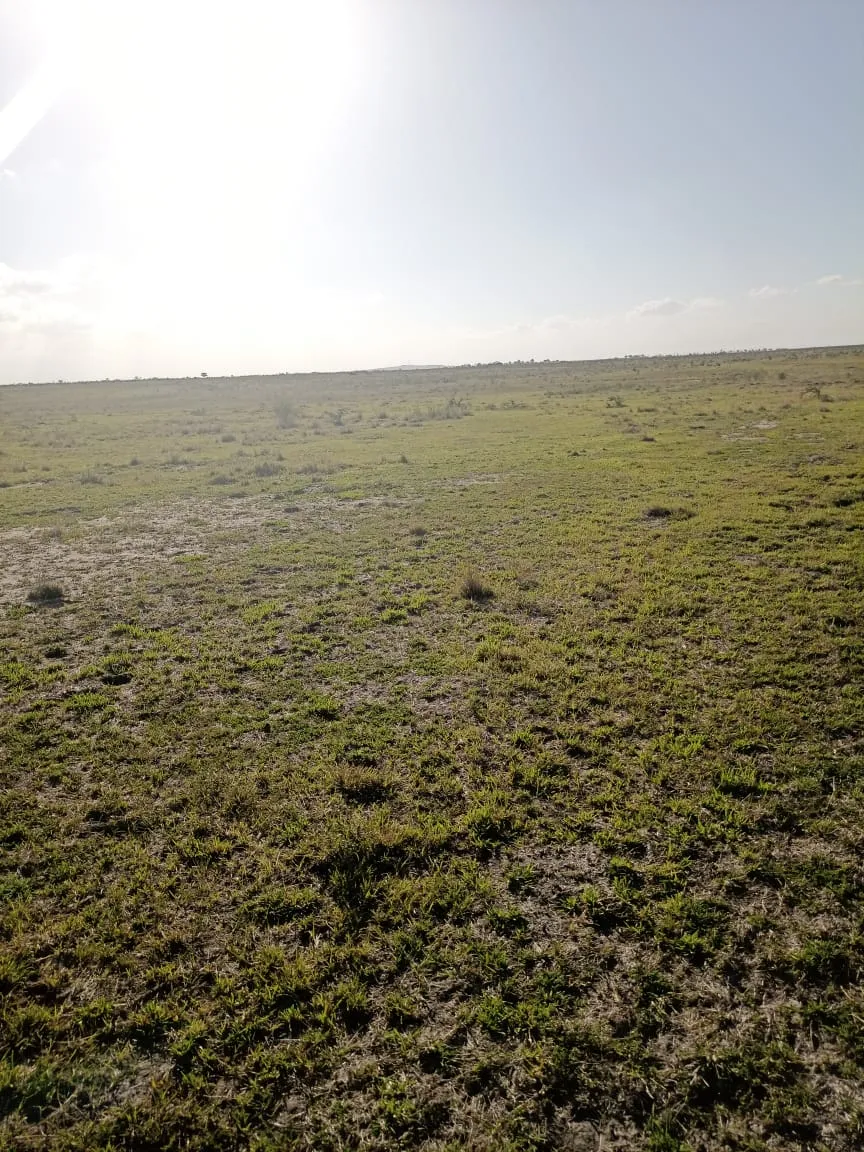 Tamu Plateau Estate — Nairobi