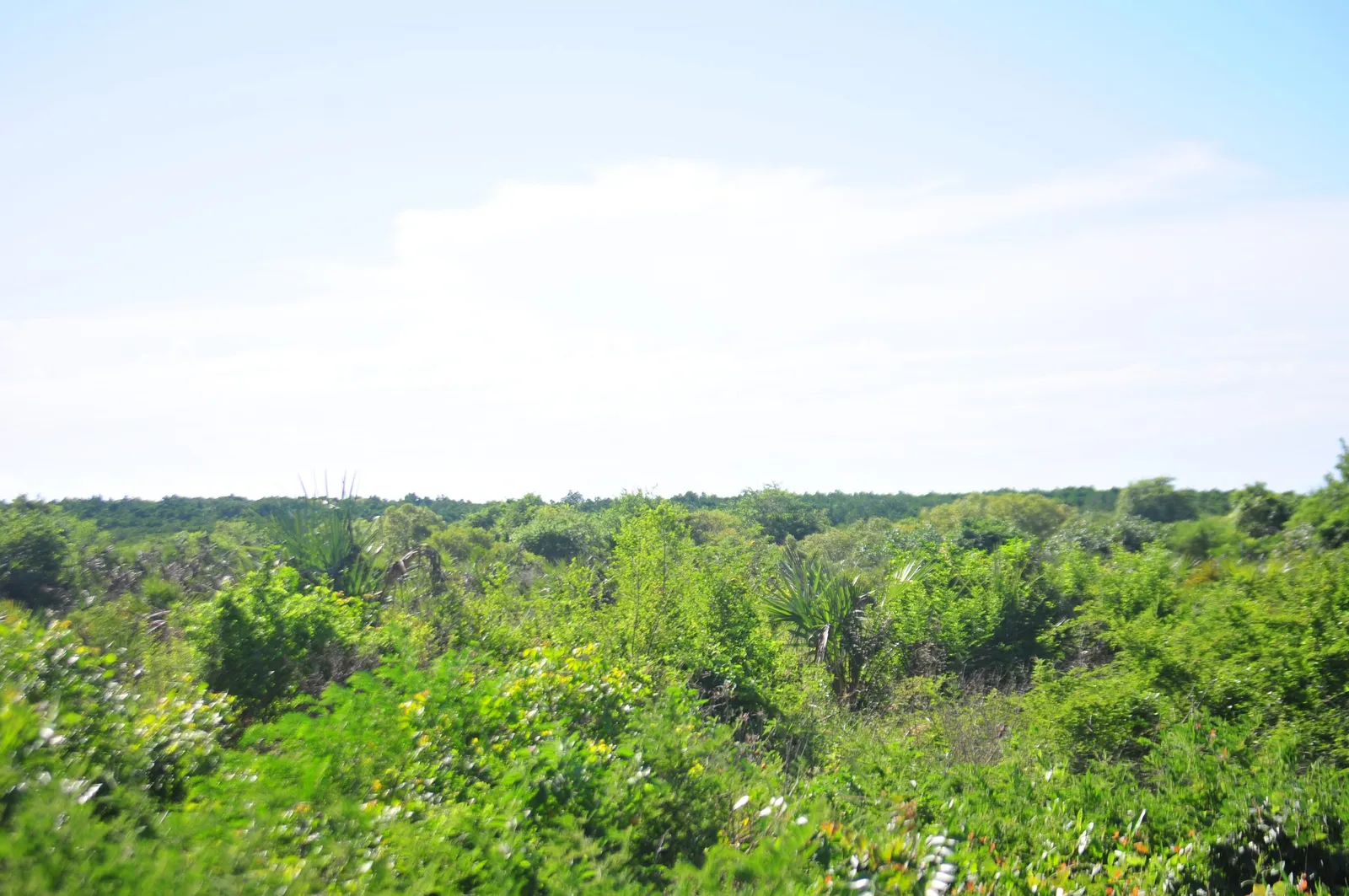 Beach Plot for Sale at Mwambani Tanga