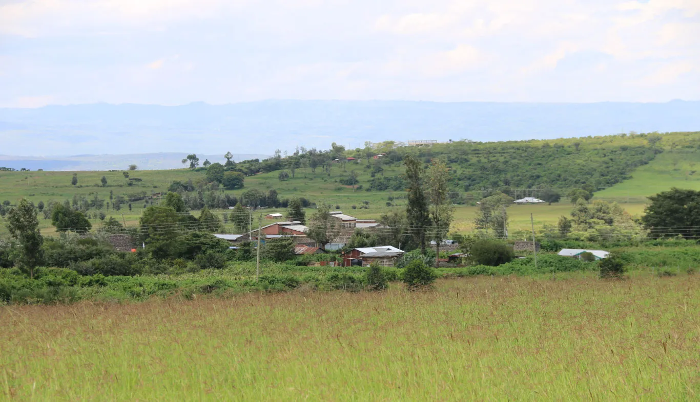 Redhill Estate Phase Three – Prime 1/8th Acre Plots in Nakuru — Nakuru