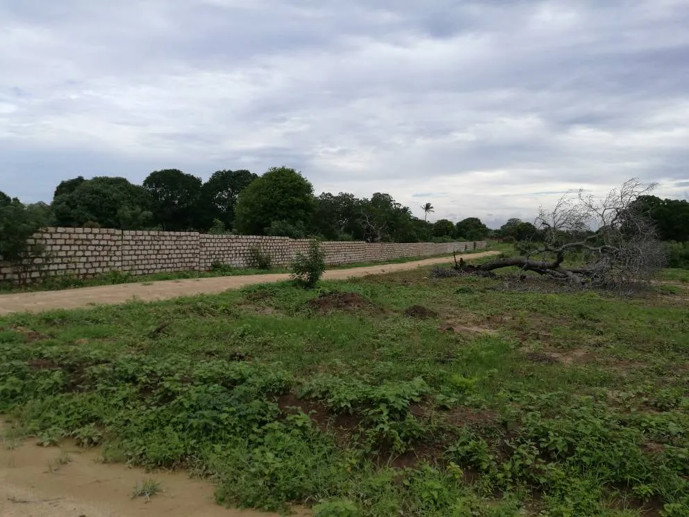 Green Orchards Plots Malindi — Malindi