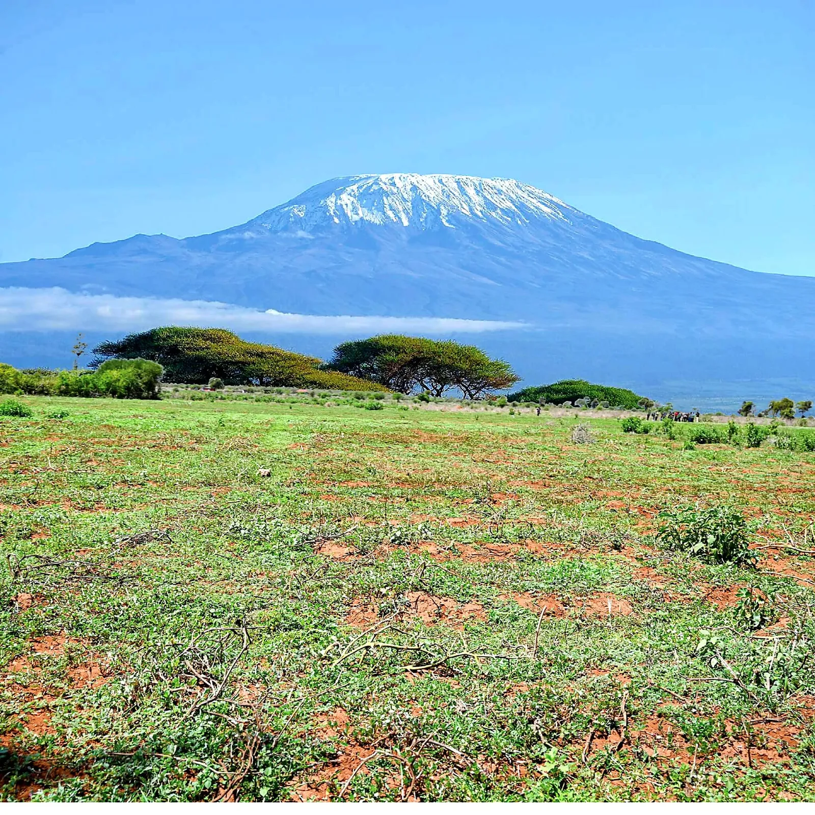 Mwanzo Gardens — Ngong