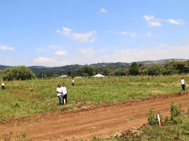 Royal Palm Residence Nakuru – Exclusive 1/8th Acre Plots — Nakuru