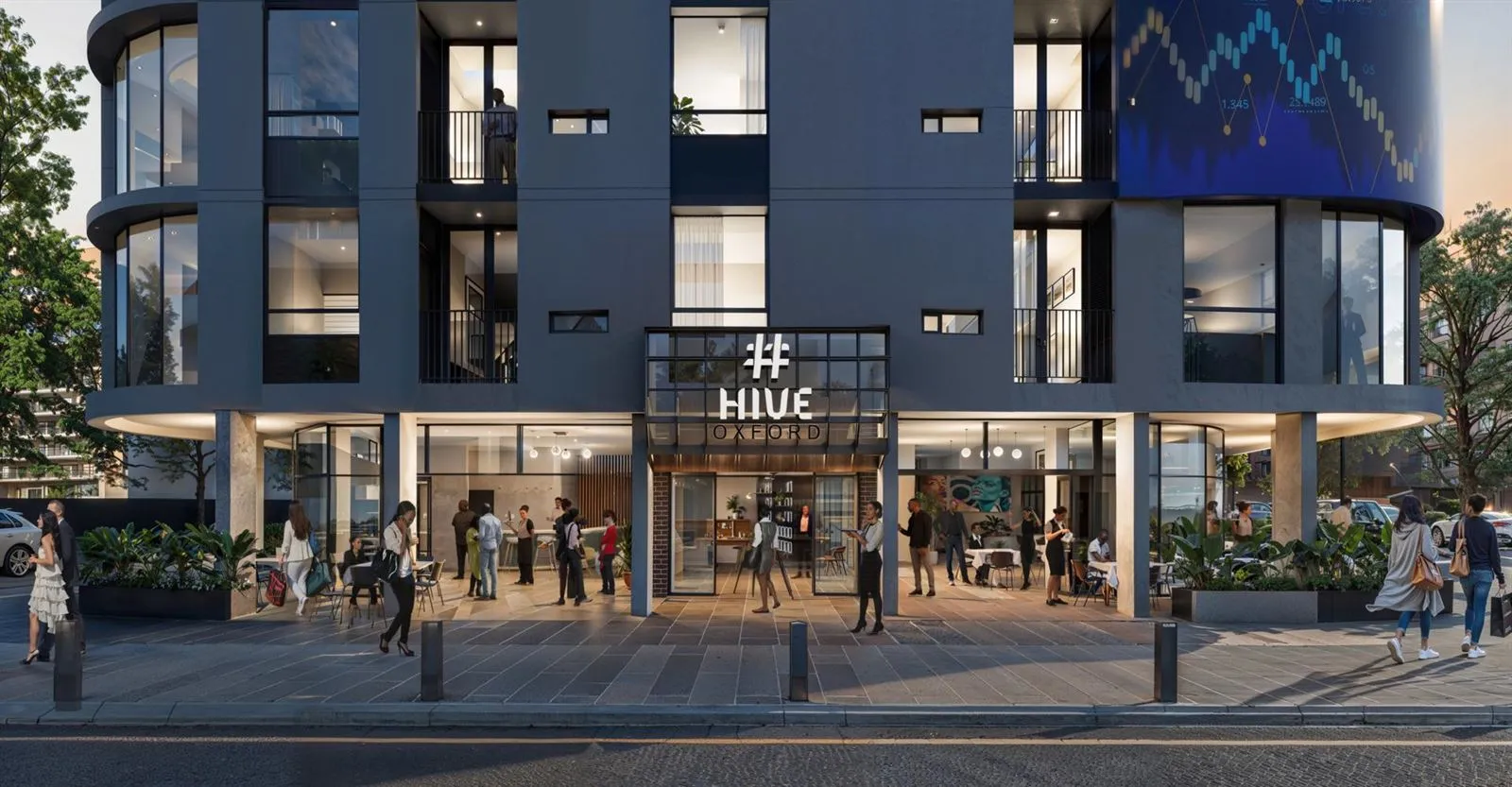 Hive Oxford — Johannesburg