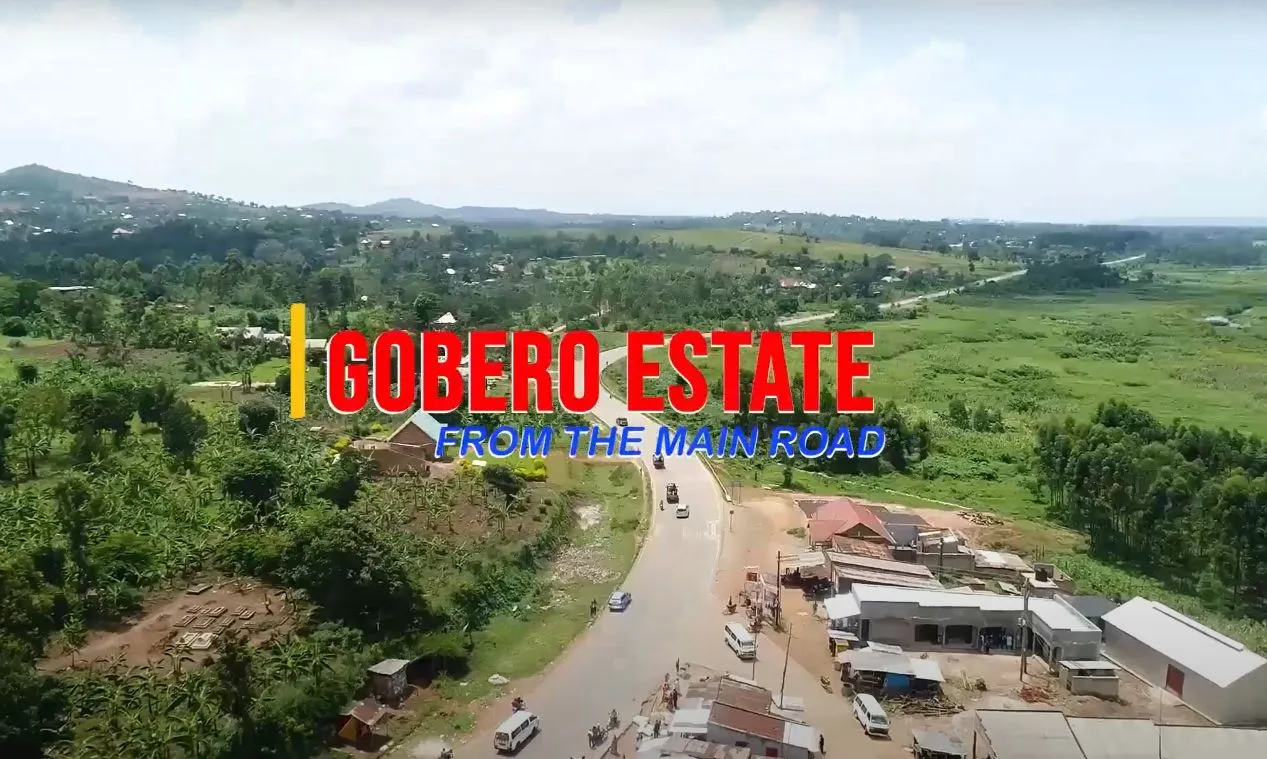 Gobero Estate 2