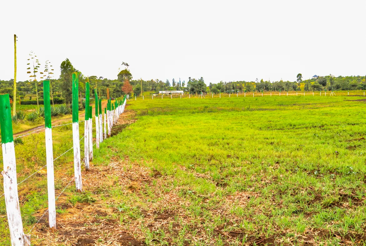 Citrus Grove Estate – Secure 1/8th Acre Plots Near Lake Nakuru