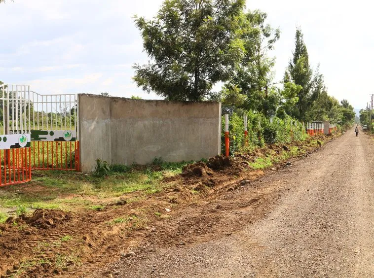Royal Palm Residence Nakuru – Exclusive 1/8th Acre Plots — Nakuru