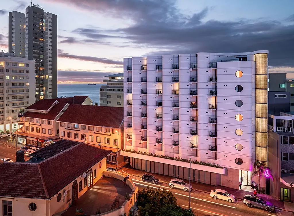 THE FLAMINGO — Cape Town