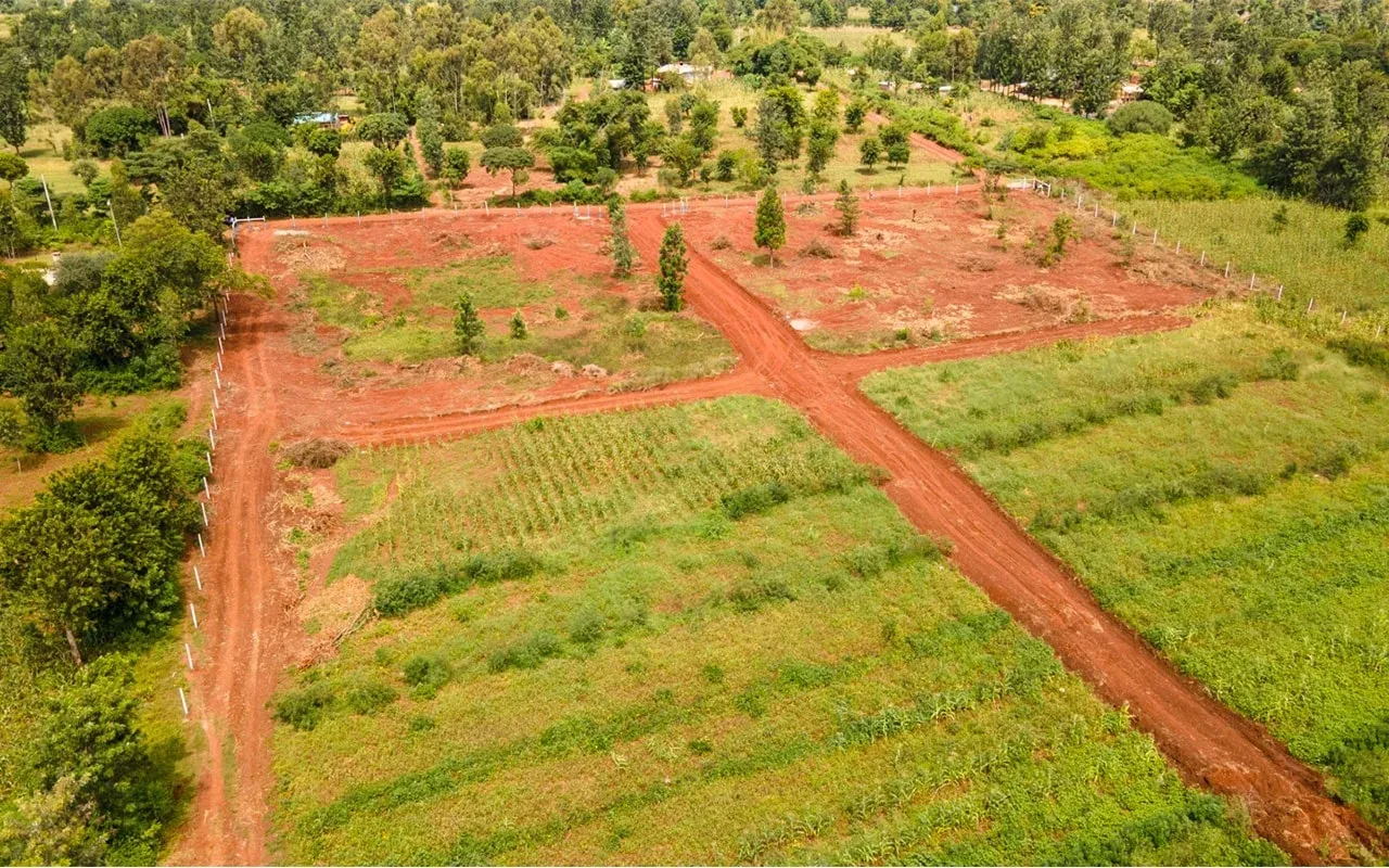 Nanyuki plots