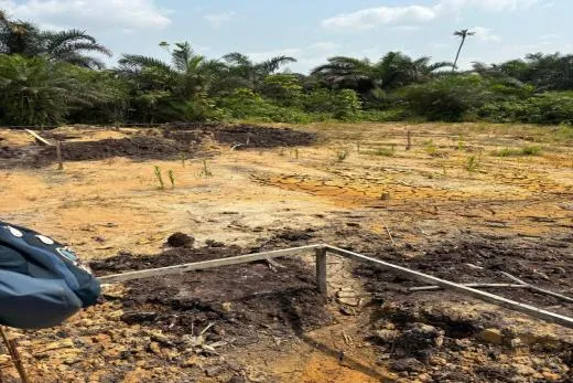 Lena Real Estate - BWANG BAKOKO