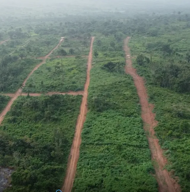 Plots of Land at Primrose Estate