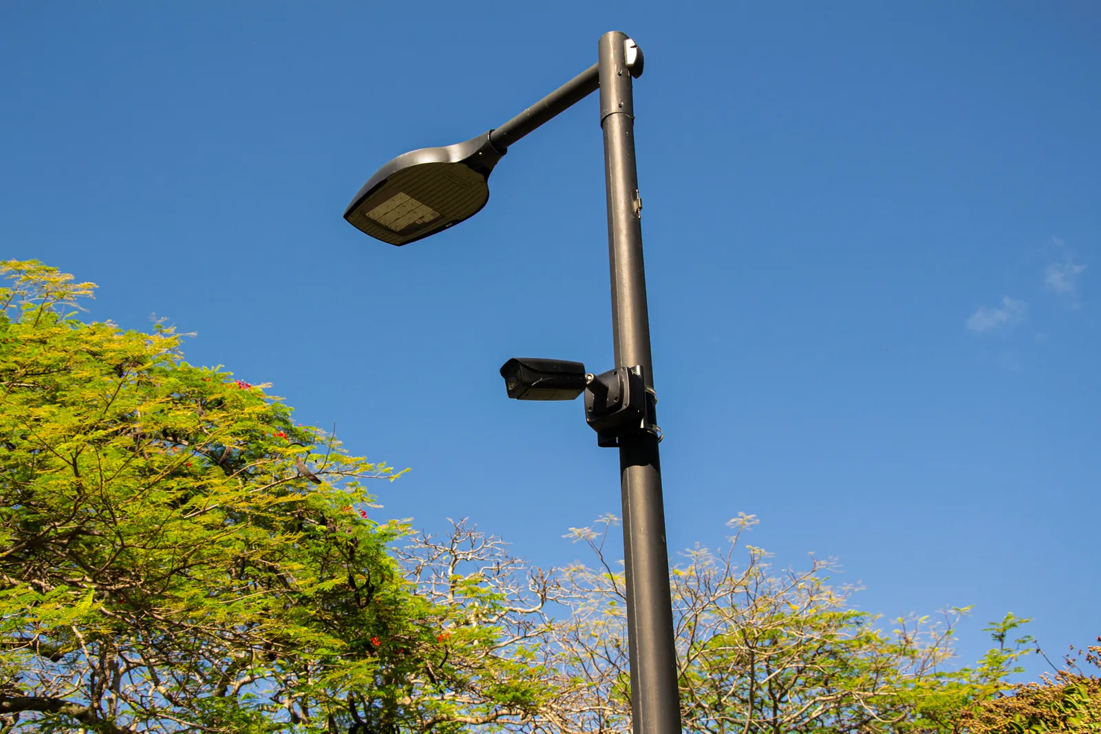 CCTV beau plan