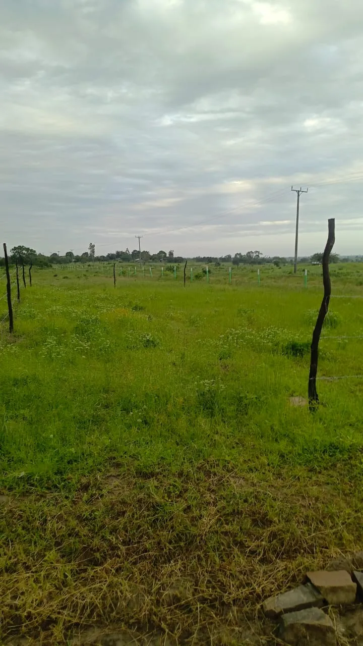IMG-20250617-WA0072