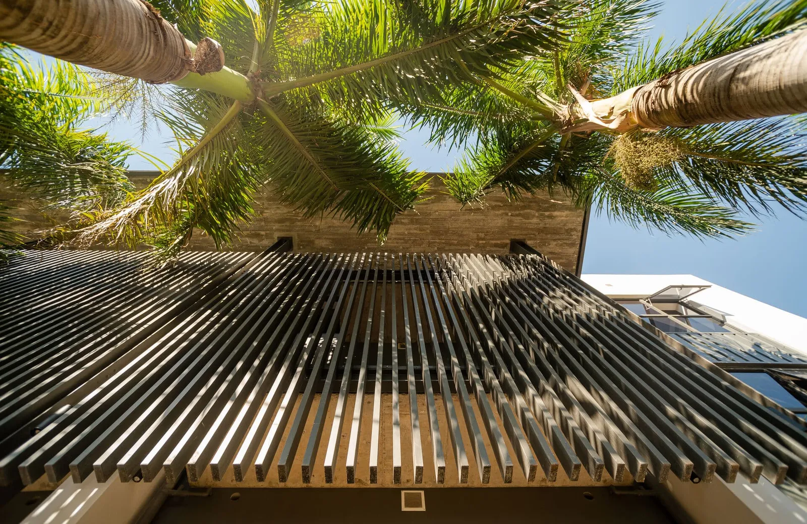 the-strand-plants