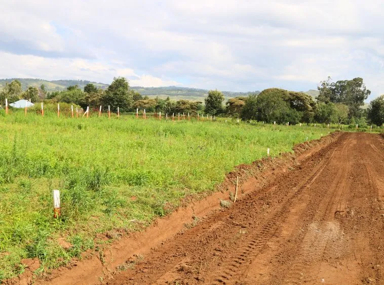 Royal Palm Residence Nakuru – Exclusive 1/8th Acre Plots — Nakuru