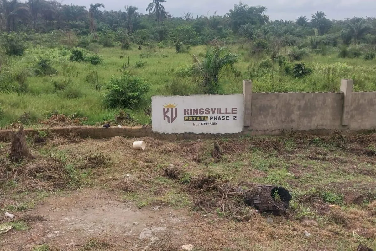 Kingsvile phase 2