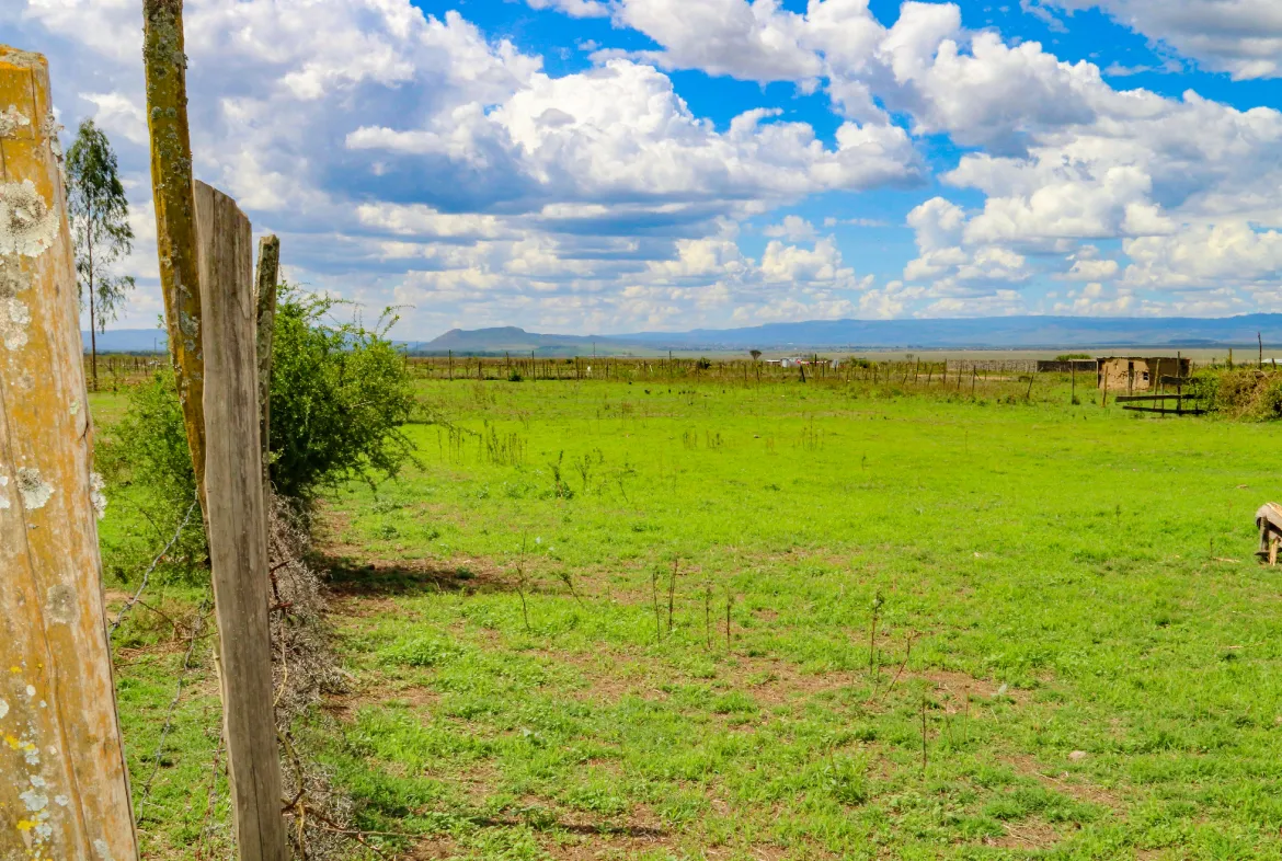 Springfield Estate Nakuru – Scenic 50 by 100 Plots with Stunning Views — Nakuru