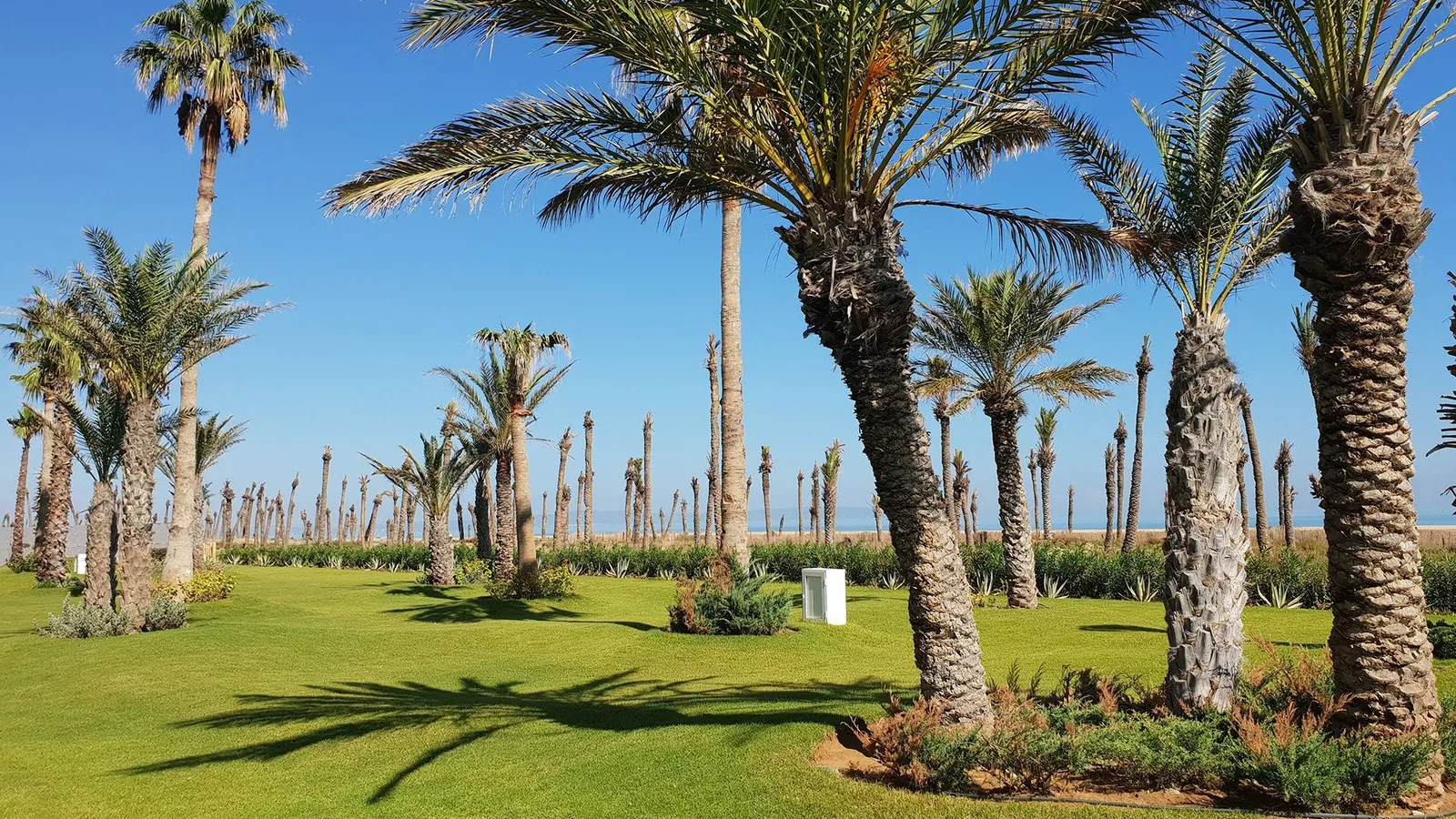 West Gammarth Garden