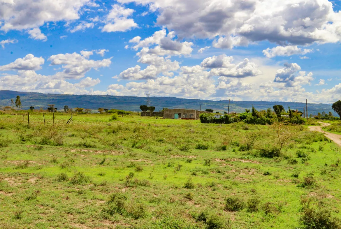 Springfield Estate Nakuru – Scenic 50 by 100 Plots with Stunning Views — Nakuru