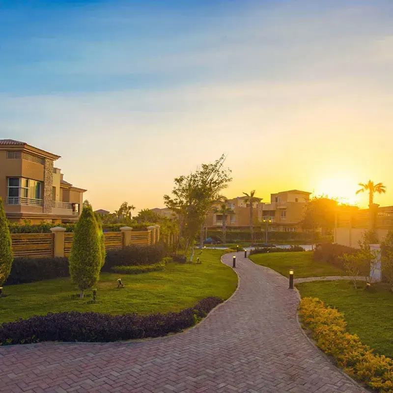 Jeera — Sheikh Zayed