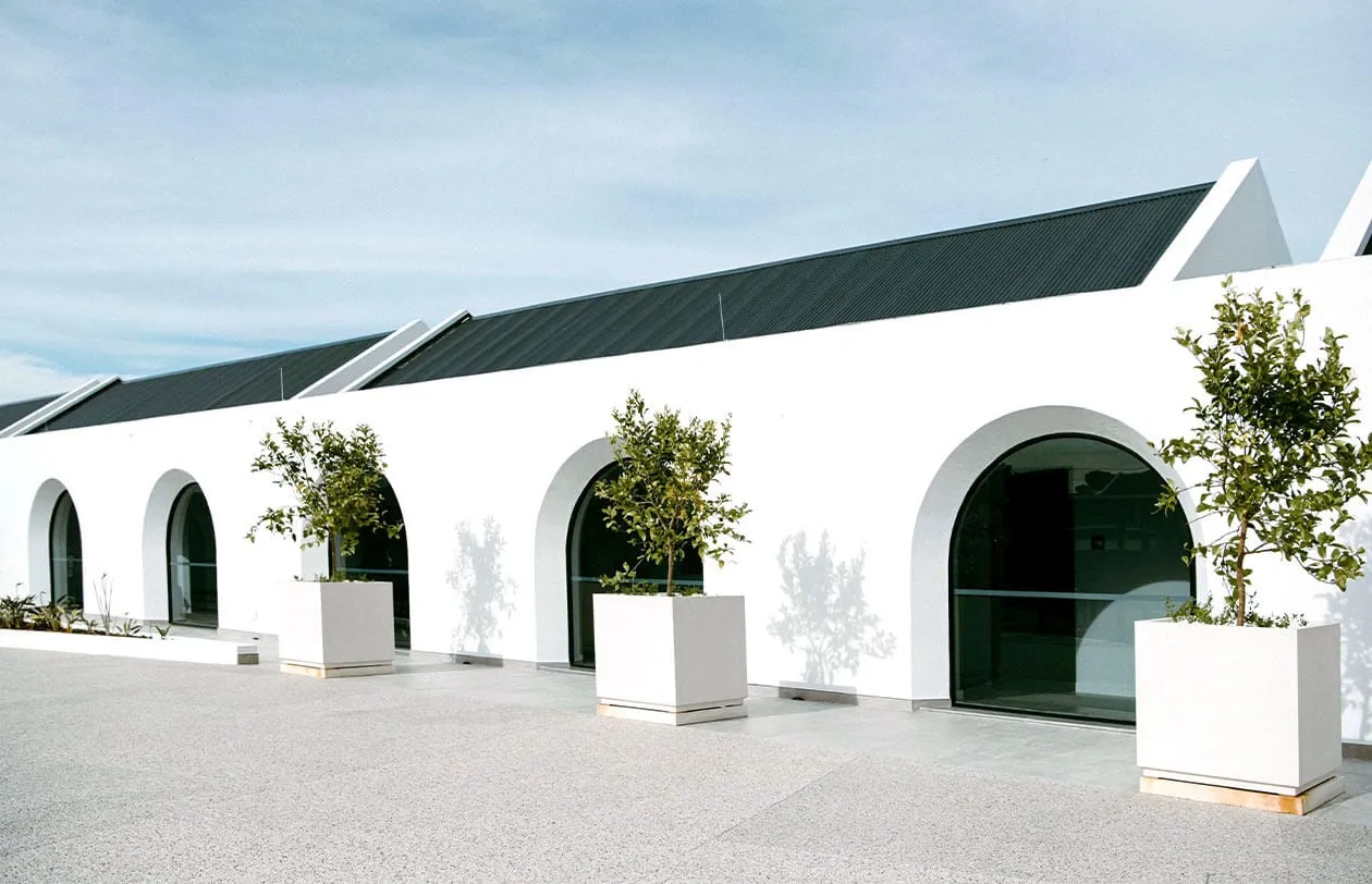 Contemporary white commercial building with arched entrances and potted trees, modern architecture d.