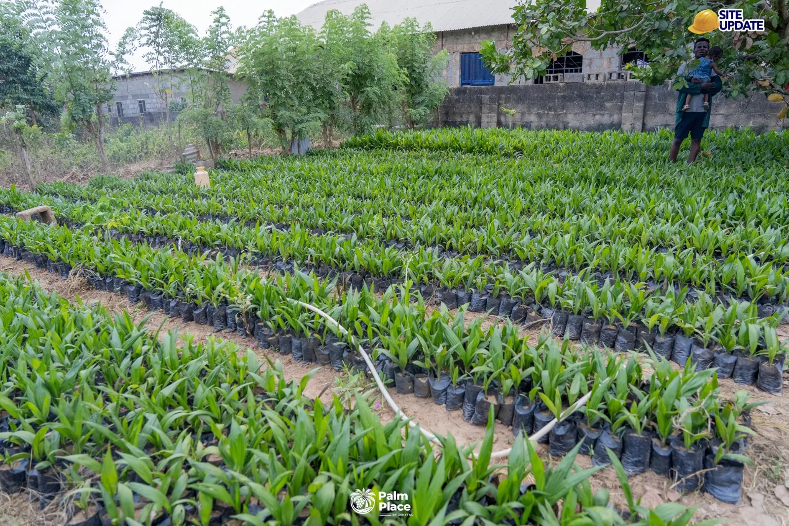 Palm Place — Ogun State