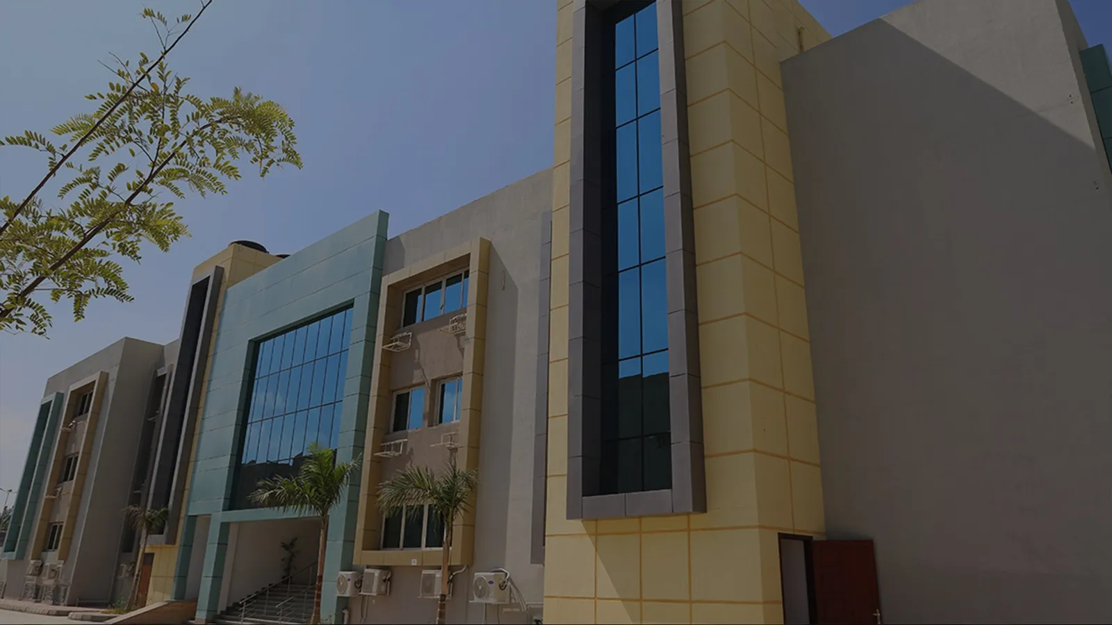Mavericks International School