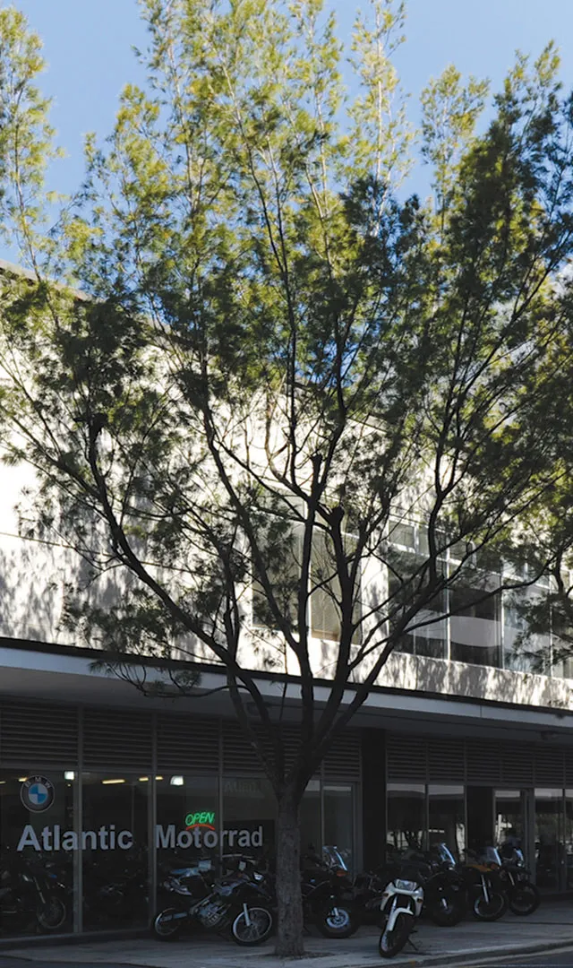 31 Martin Hammerschlag — Cape Town