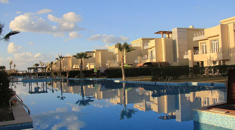 Sedra — Alexandria