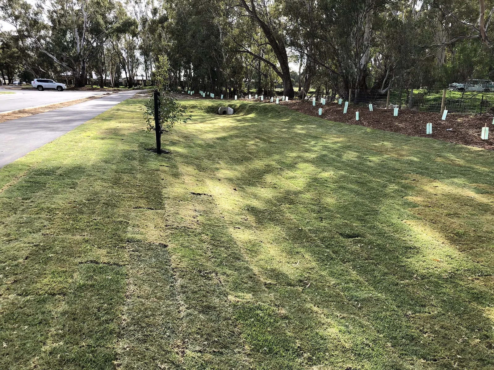 Argyle Park