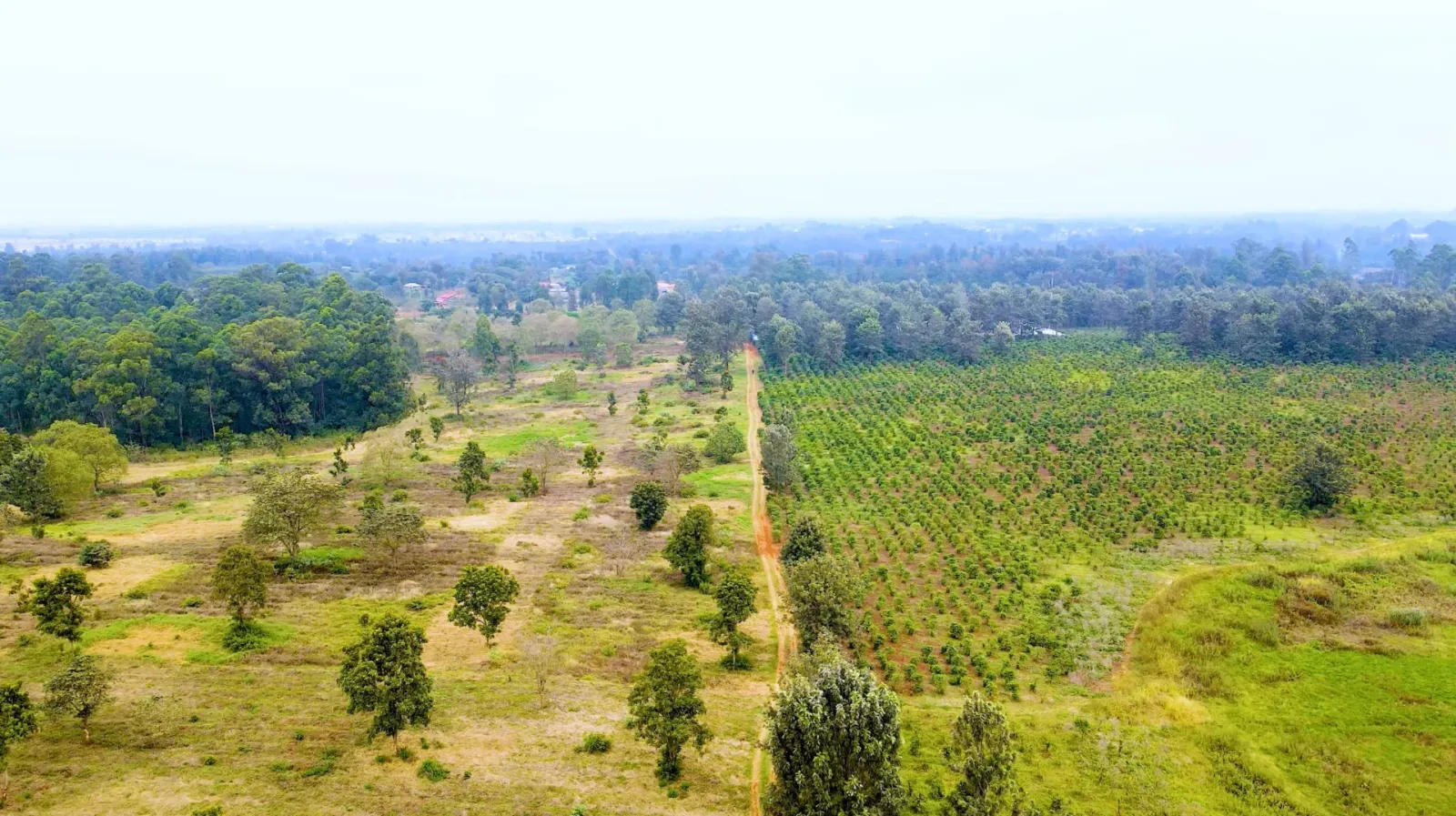 Oak Grove City – Juja — Juja