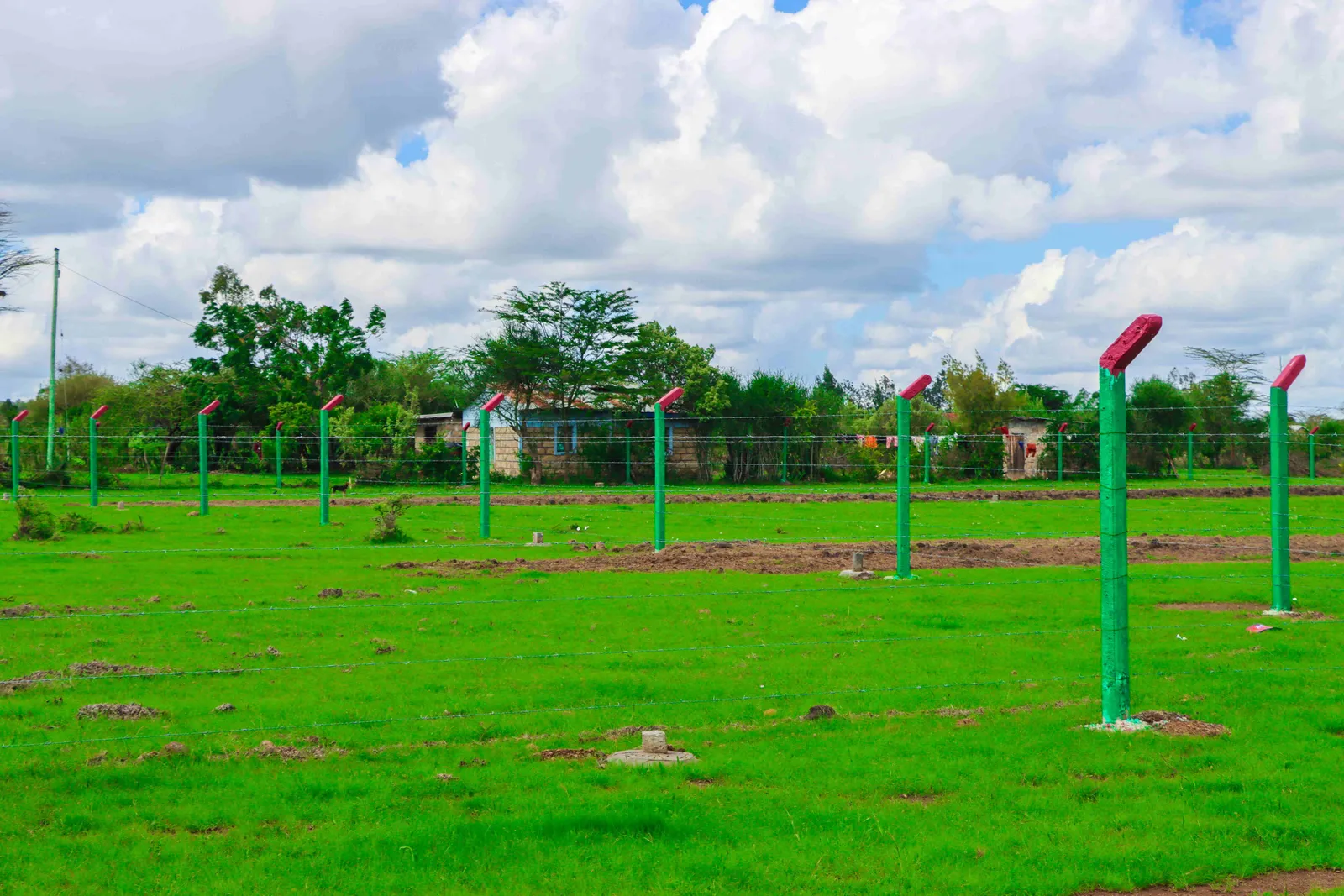 Plots For Sale In Juja 595K (Juja Phase 79)