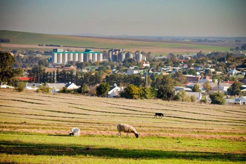 Airport Development Node — Bloemfontein