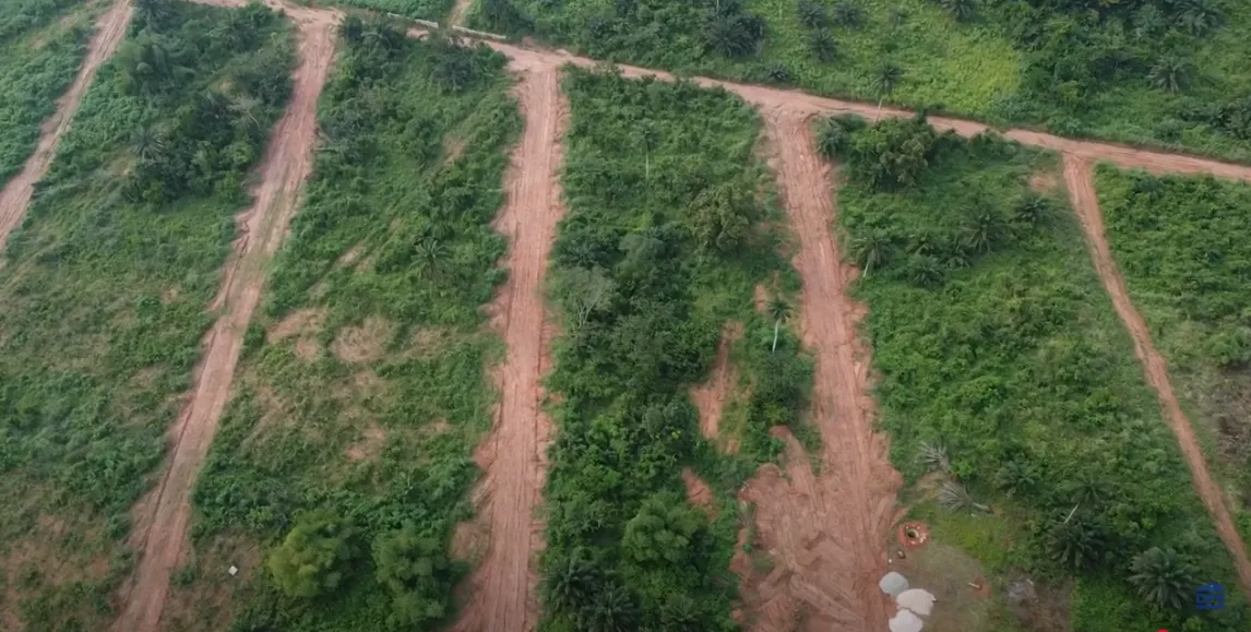 ROSEPEARL Estate land property