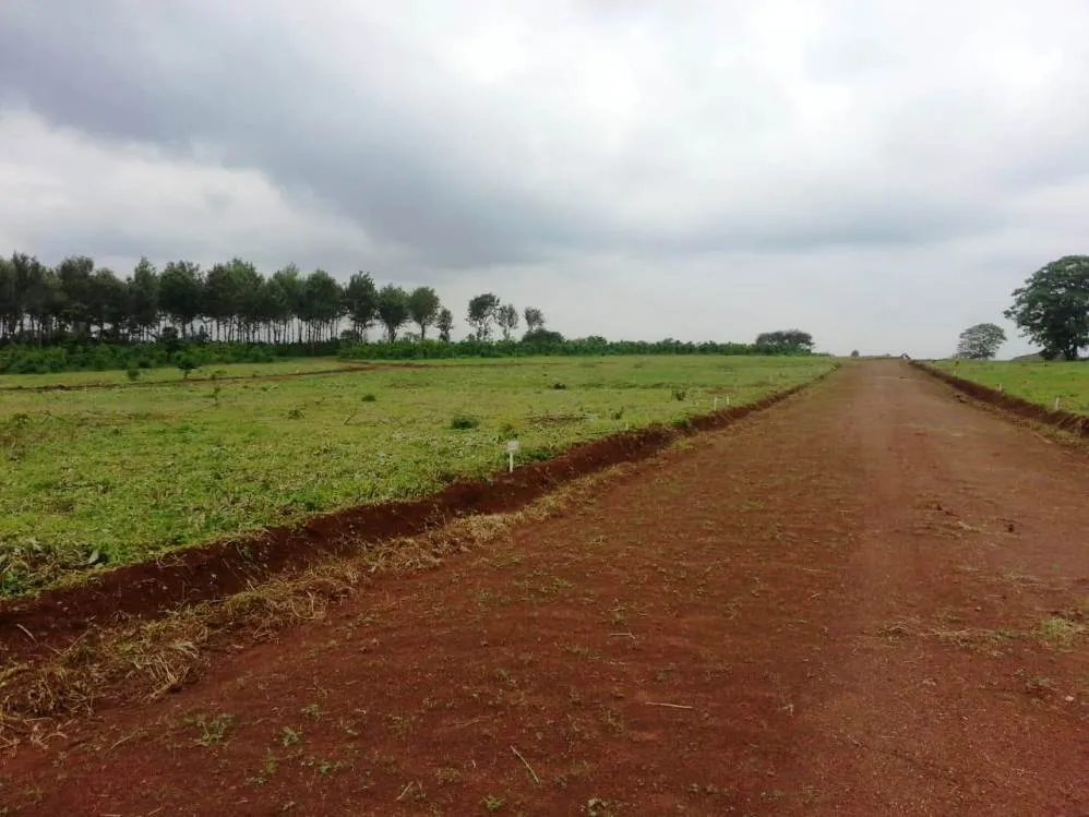 Thika Royal Palms — Thika