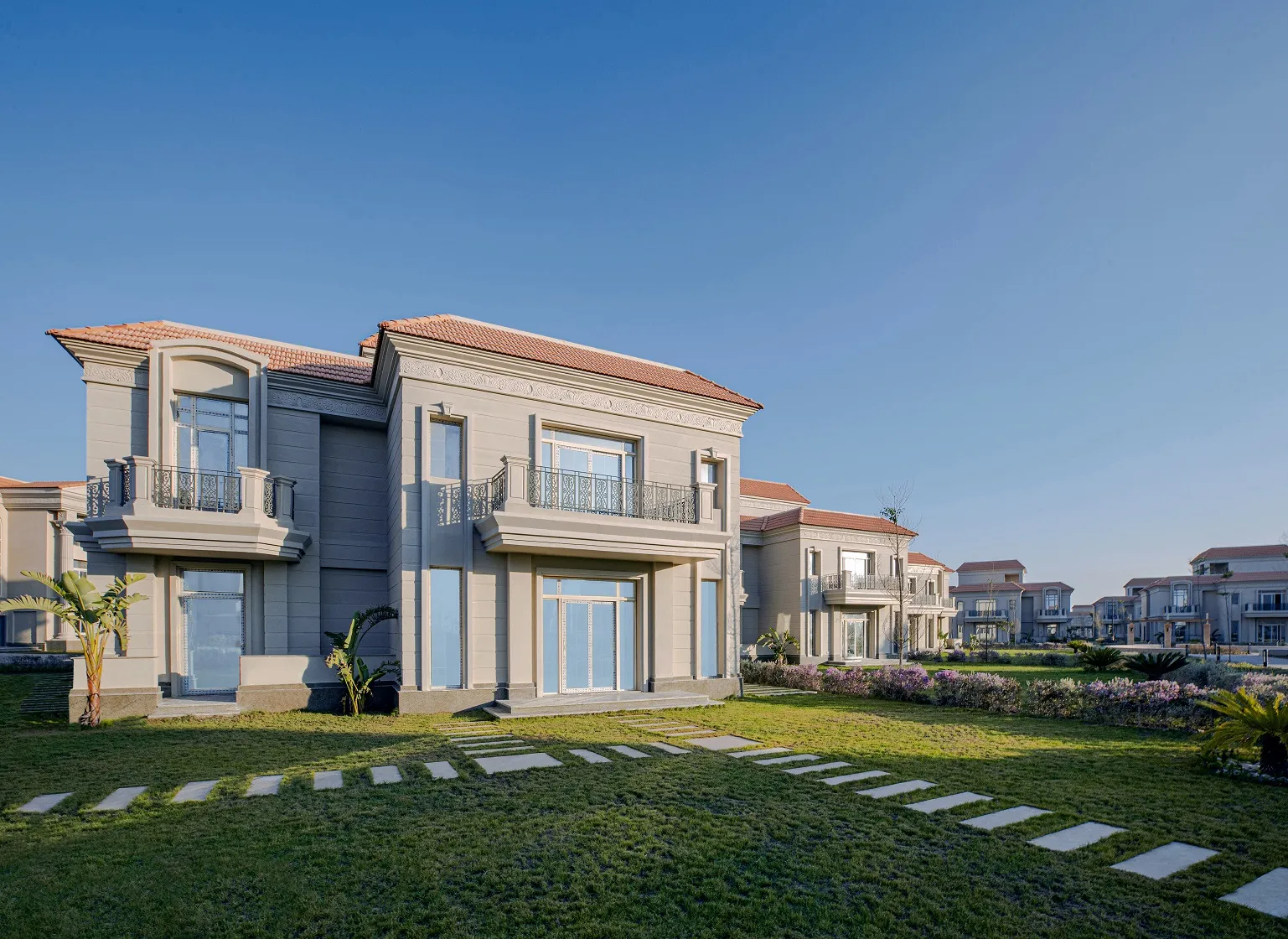 Zahya — New Mansoura City